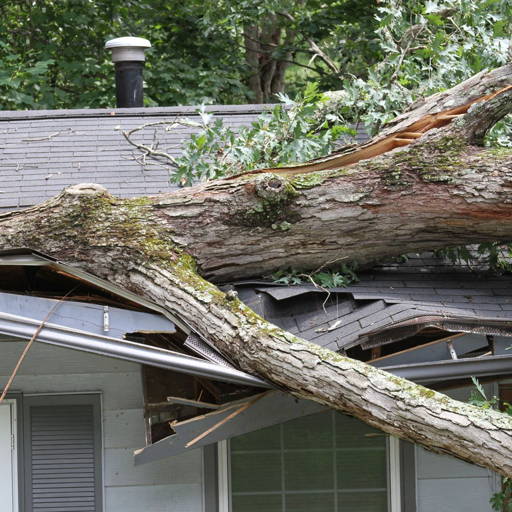 storm damage to an Atlanta property