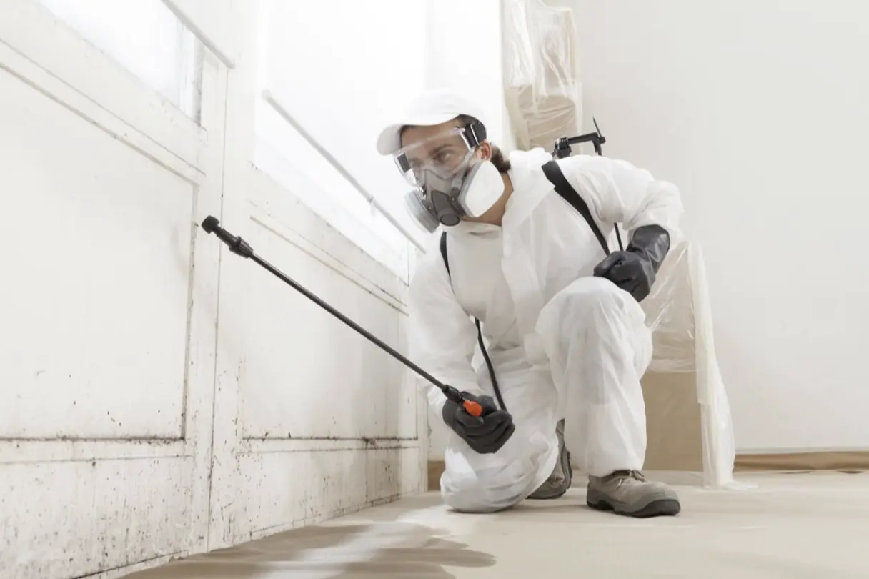 restoration technician in protective gear treating mold on a wall